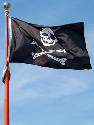 Jolly Roger Pirate Flag